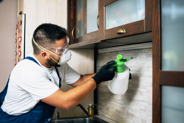 Best Wildlife Control Services  in Crawfordsville, IN