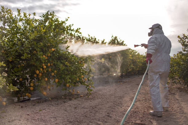  Crawfordsville, IN Pest Control Pros