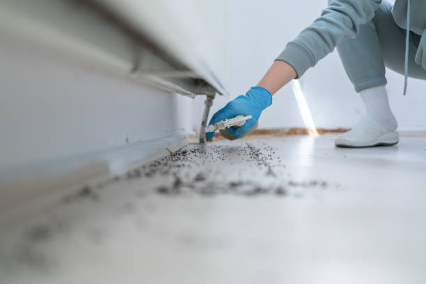 Reliable Crawfordsville, IN Pest Control Solutions
